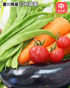 臼杵農園の野菜セット（中）