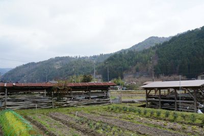 Hello Farm